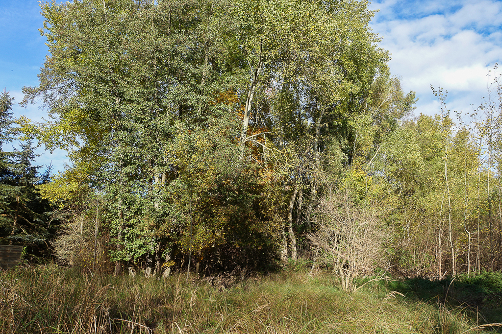 Działka na sprzedaż Grzepnica 3 069 m2 | Arka Nieruchomości