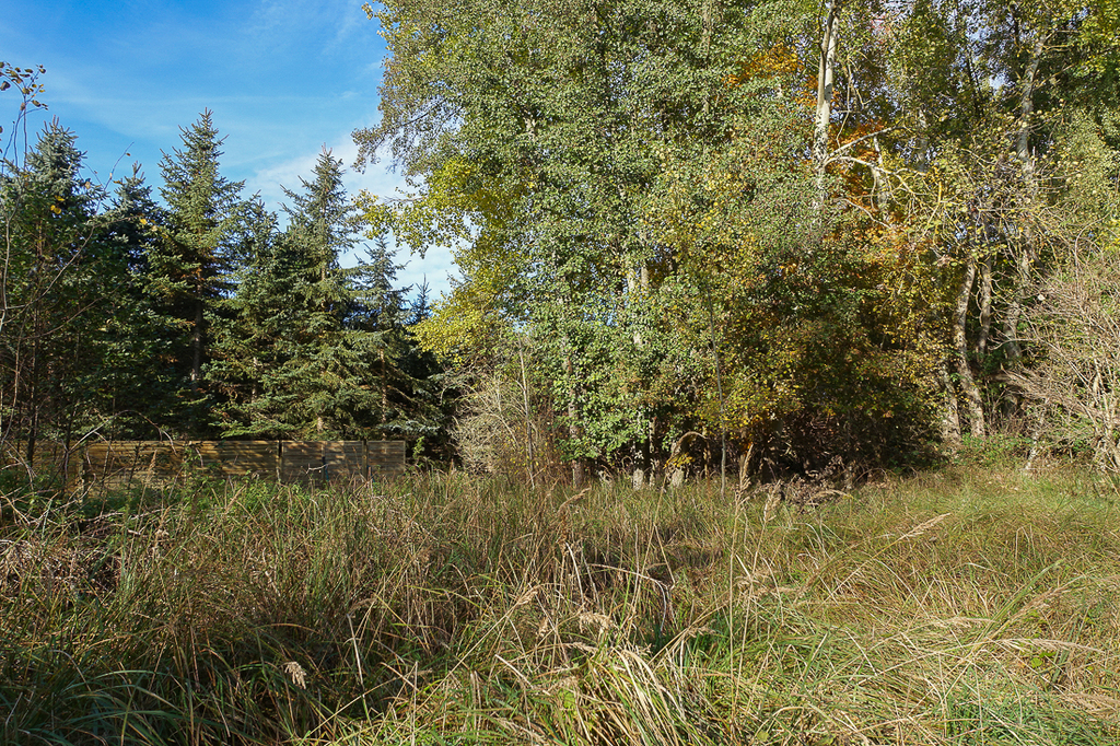 Działka na sprzedaż Grzepnica 3 069 m2 | Arka Nieruchomości