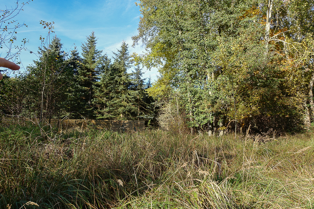 Działka na sprzedaż Grzepnica 3 069 m2 | Arka Nieruchomości