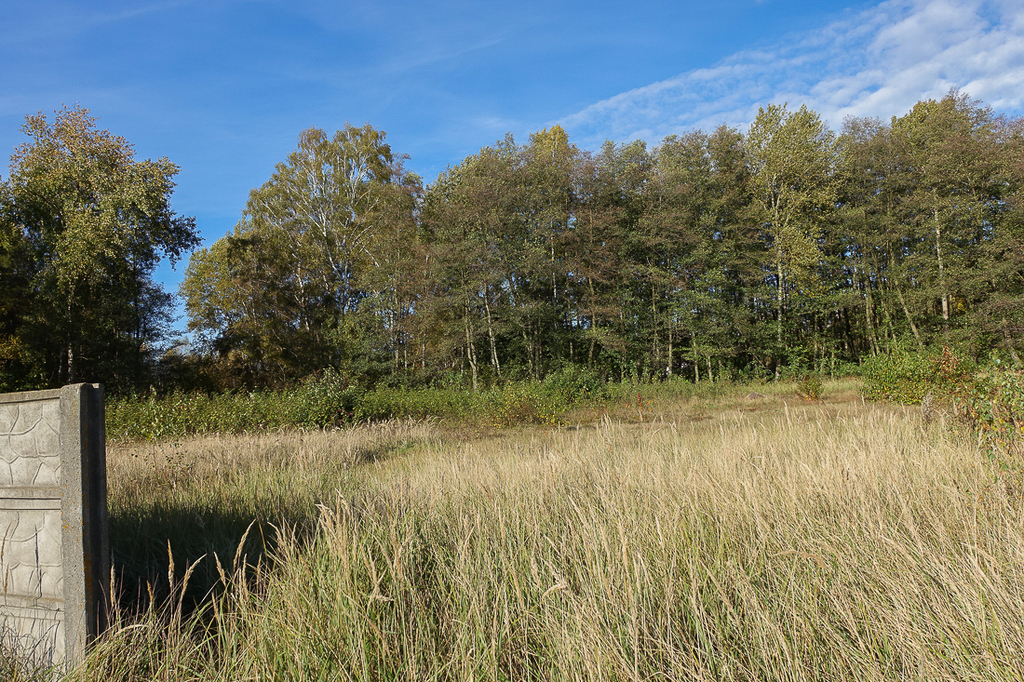 Działka na sprzedaż Grzepnica 3 069 m2 | Arka Nieruchomości