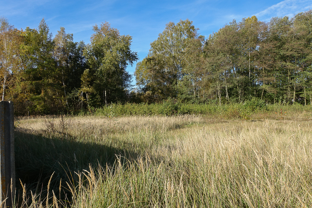 Działka na sprzedaż Grzepnica 3 069 m2 | Arka Nieruchomości