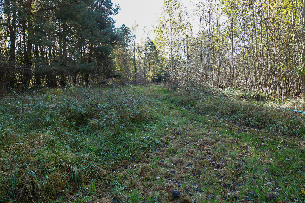 Działka na sprzedaż Grzepnica 3 069 m2 | Arka Nieruchomości