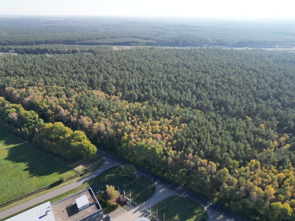 Działka na sprzedaż Łozienica 5 073 m2 | Arka Nieruchomości