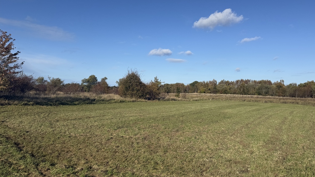 Działka na sprzedaż Lędzin 1 309 m2 | Arka Nieruchomości