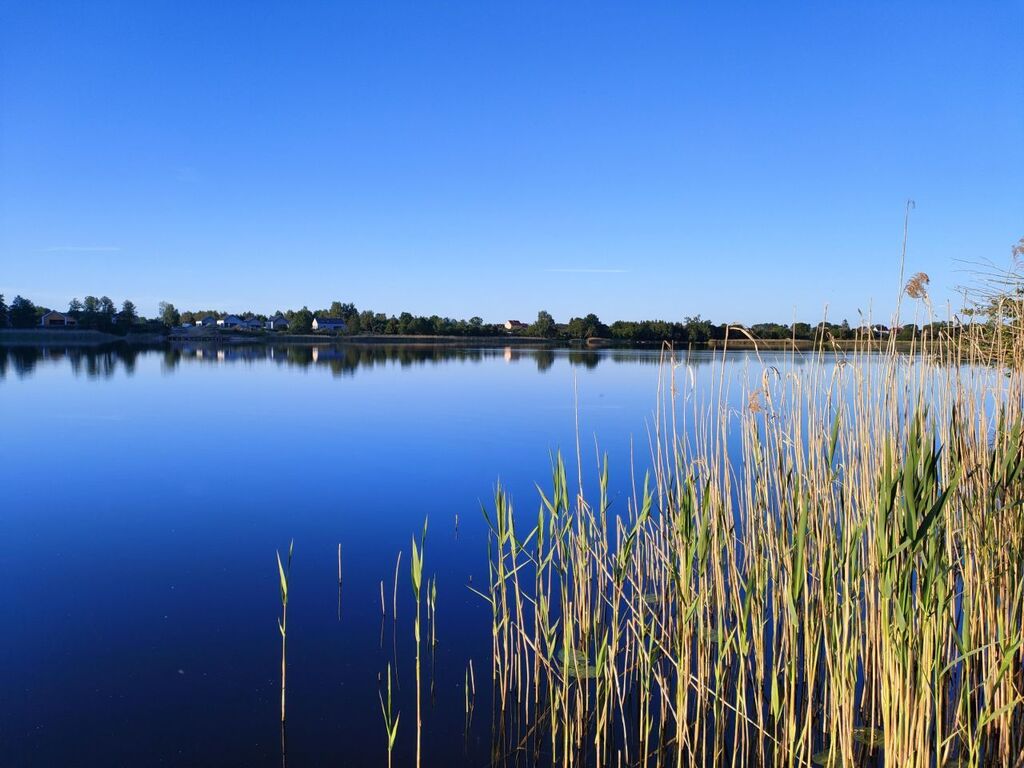 Działka na sprzedaż Wiechowo 2 434 m2 | Arka Nieruchomości