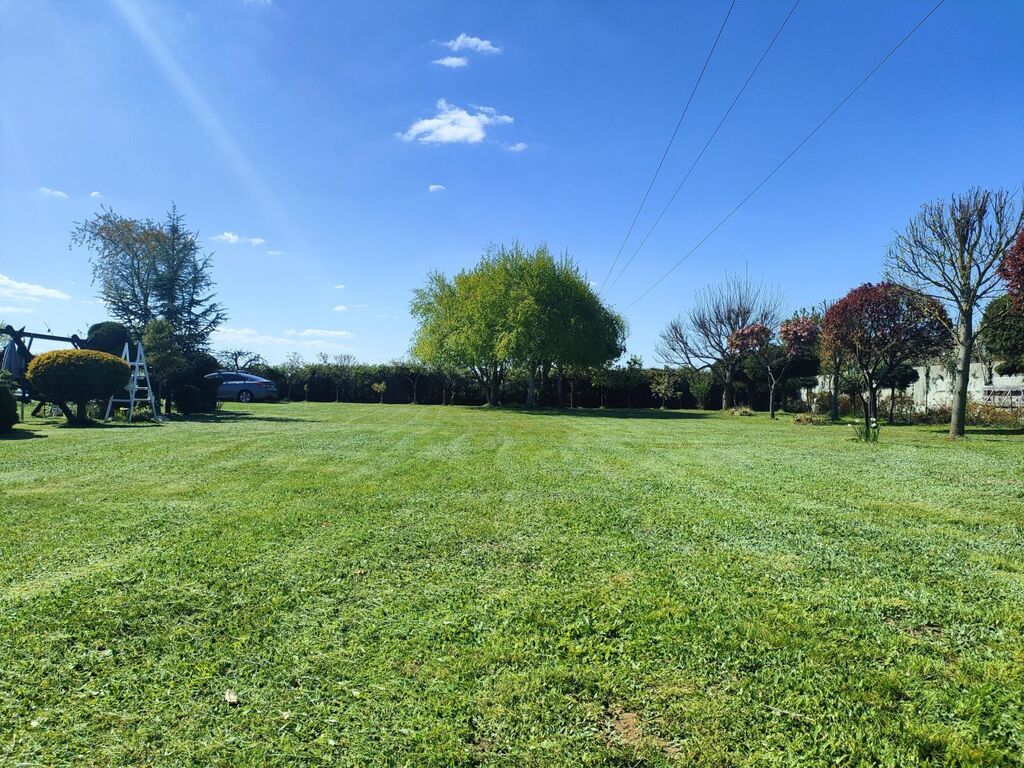 Działka na sprzedaż Wiechowo 2 434 m2 | Arka Nieruchomości