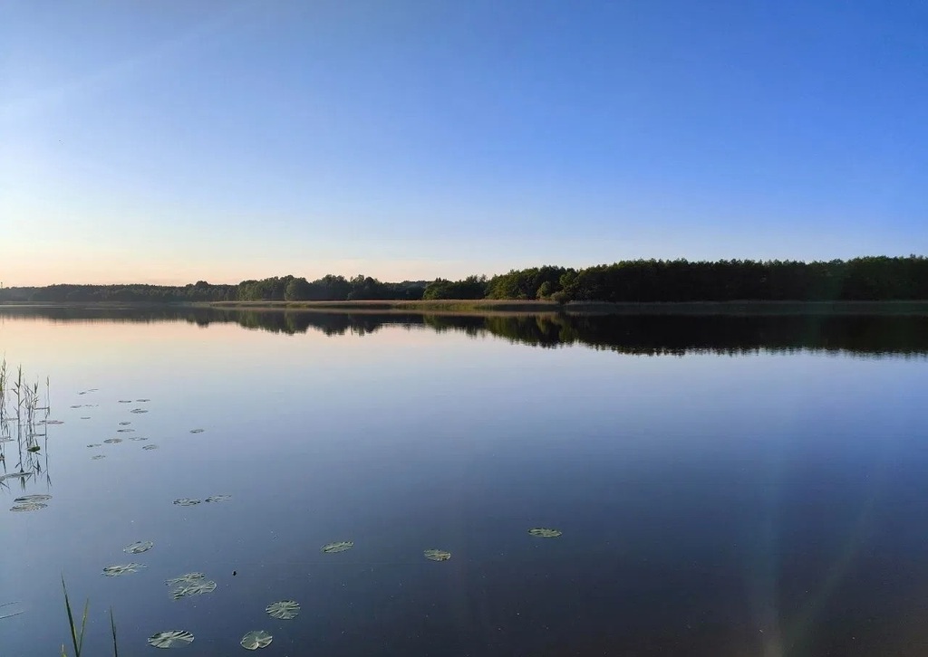 Działka na sprzedaż Wiechowo 2 434 m2 | Arka Nieruchomości