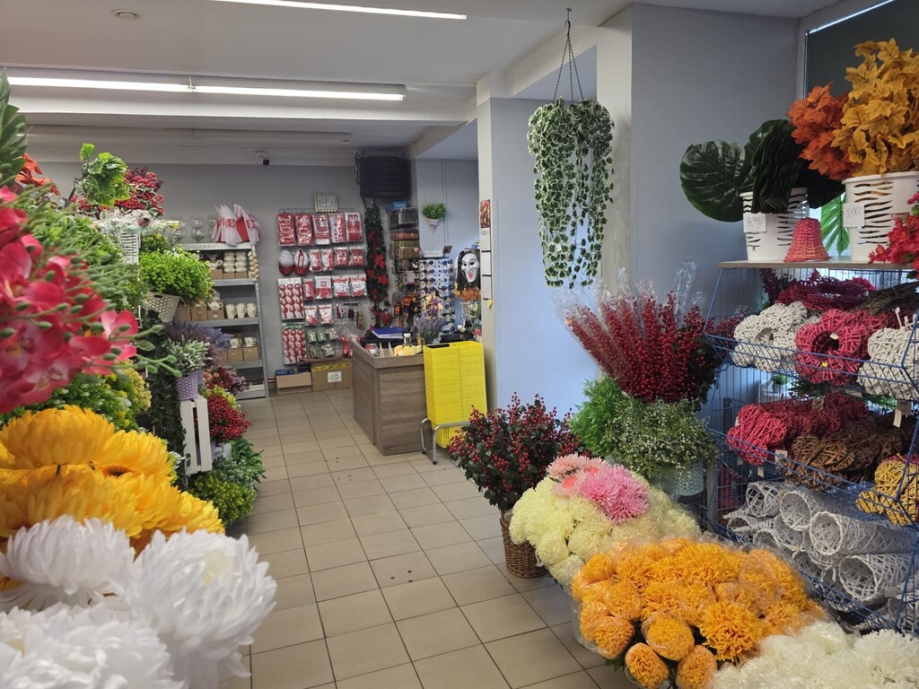 Oferta nr 269/6038/OLS