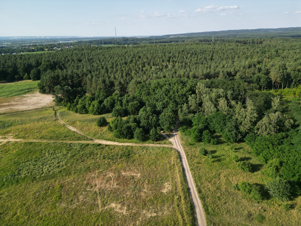 Działka na sprzedaż Daleszewo 4 053 m2 | Arka Nieruchomości