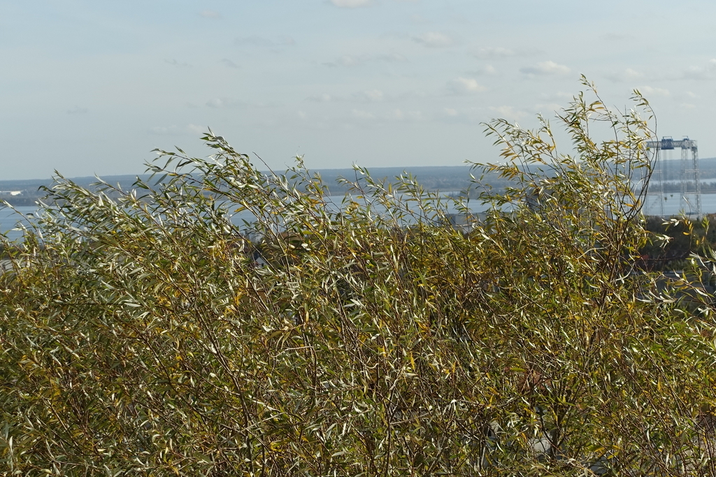 Mieszkanie na sprzedaż Szczecin, Warszewo 96 m2 | Arka Nieruchomości