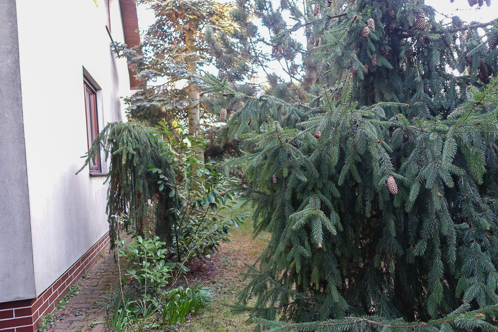 Dom na sprzedaż Szczecin, Gumieńce 250 m2 | Arka Nieruchomości