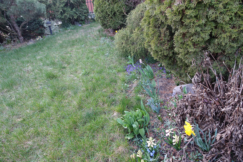 Dom na sprzedaż Szczecin, Gumieńce 250 m2 | Arka Nieruchomości