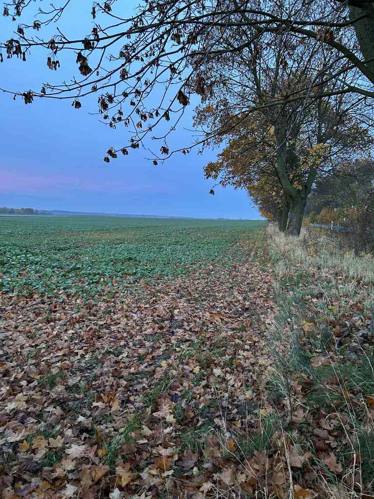 Działka na sprzedaż Banie 3 m2 | Arka Nieruchomości