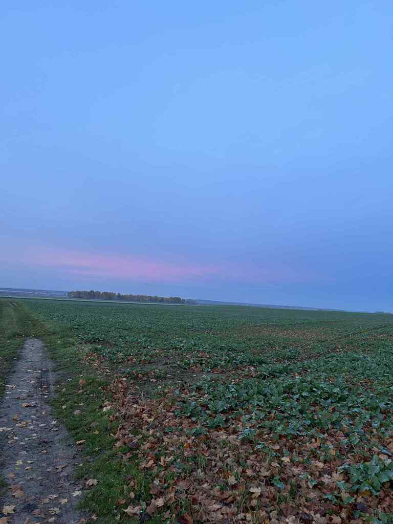 Działka na sprzedaż Banie 3 m2 | Arka Nieruchomości