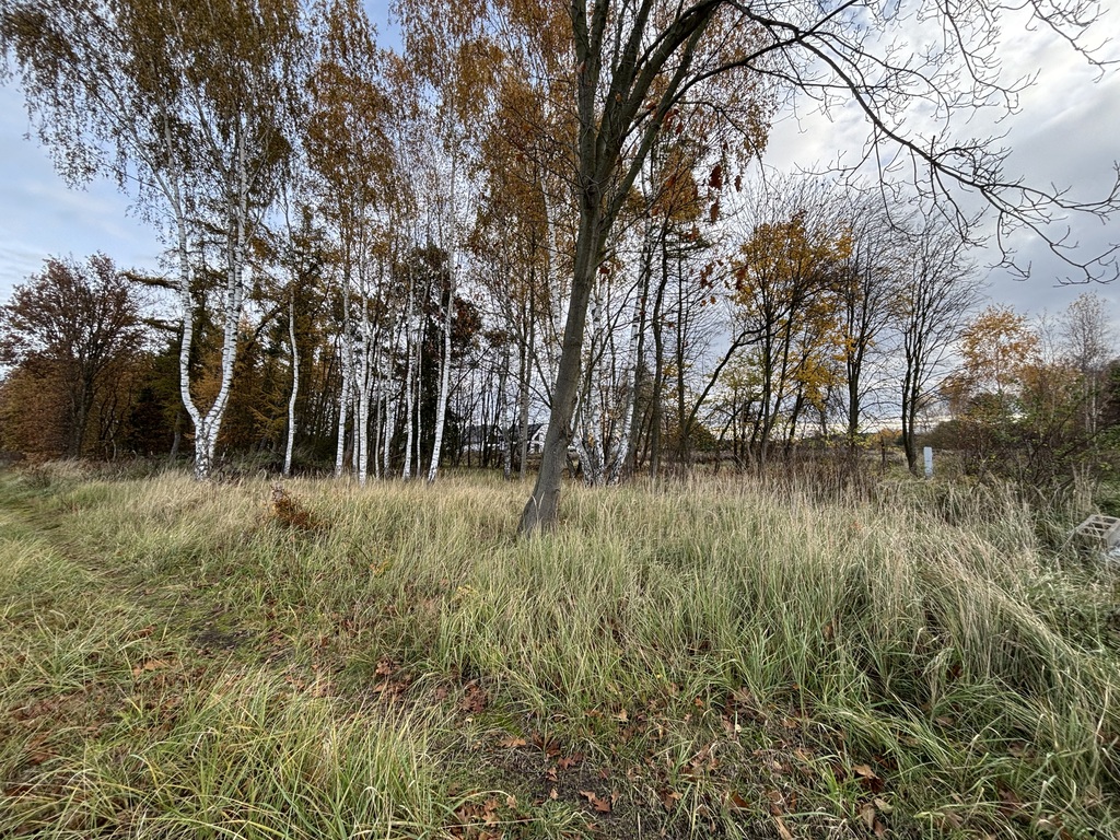 Działka na sprzedaż Niedźwiedź 1 566 m2 | Arka Nieruchomości