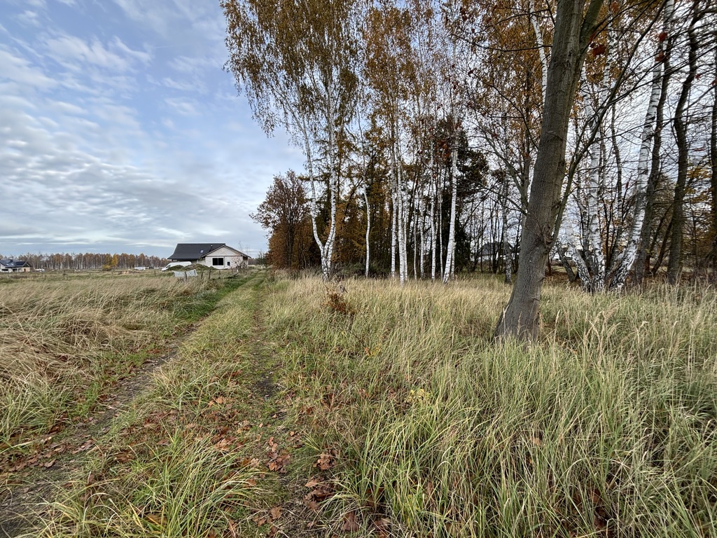 Działka na sprzedaż Niedźwiedź 1 566 m2 | Arka Nieruchomości