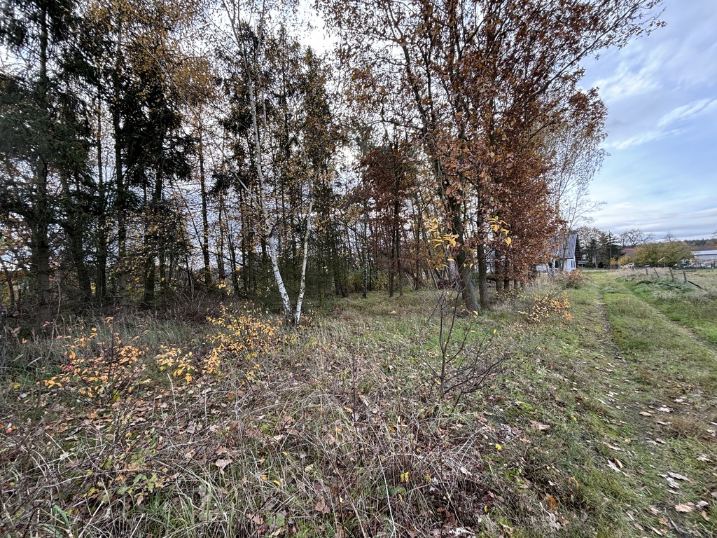 Działka na sprzedaż Niedźwiedź 1 566 m2 | Arka Nieruchomości