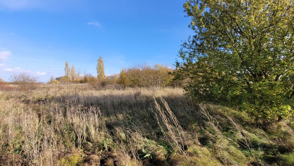 Działka na sprzedaż Bobolin 3 000 m2 | Arka Nieruchomości