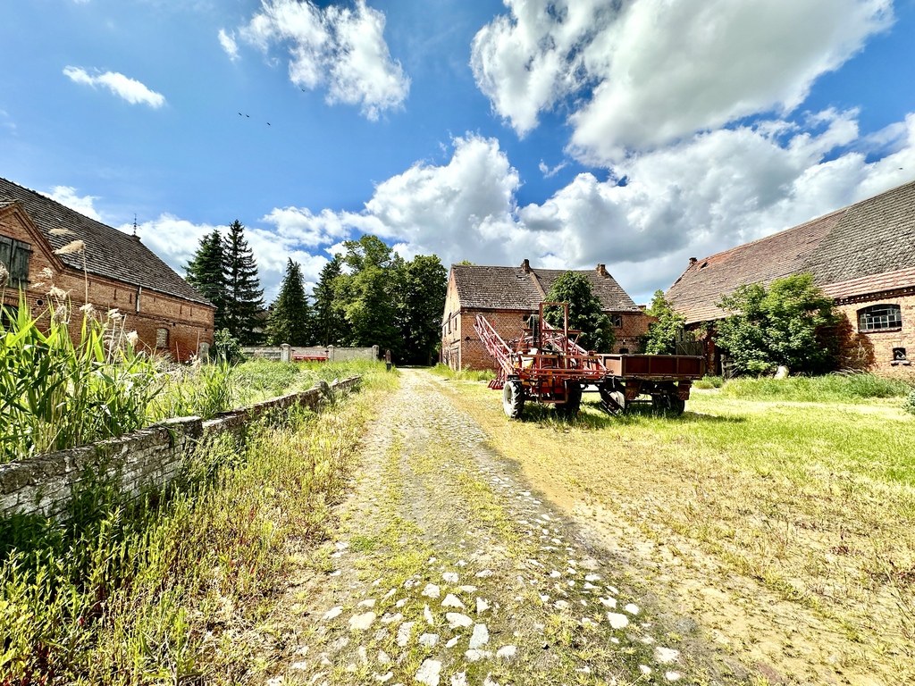 Dom na sprzedaż Ryszewko 320 m2 | Arka Nieruchomości