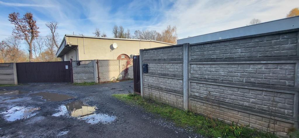 Oferta nr 11/6038/OHS