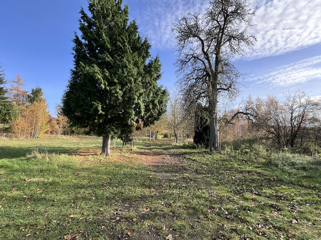 Działka na sprzedaż Binowo 25 046 m2 | Arka Nieruchomości