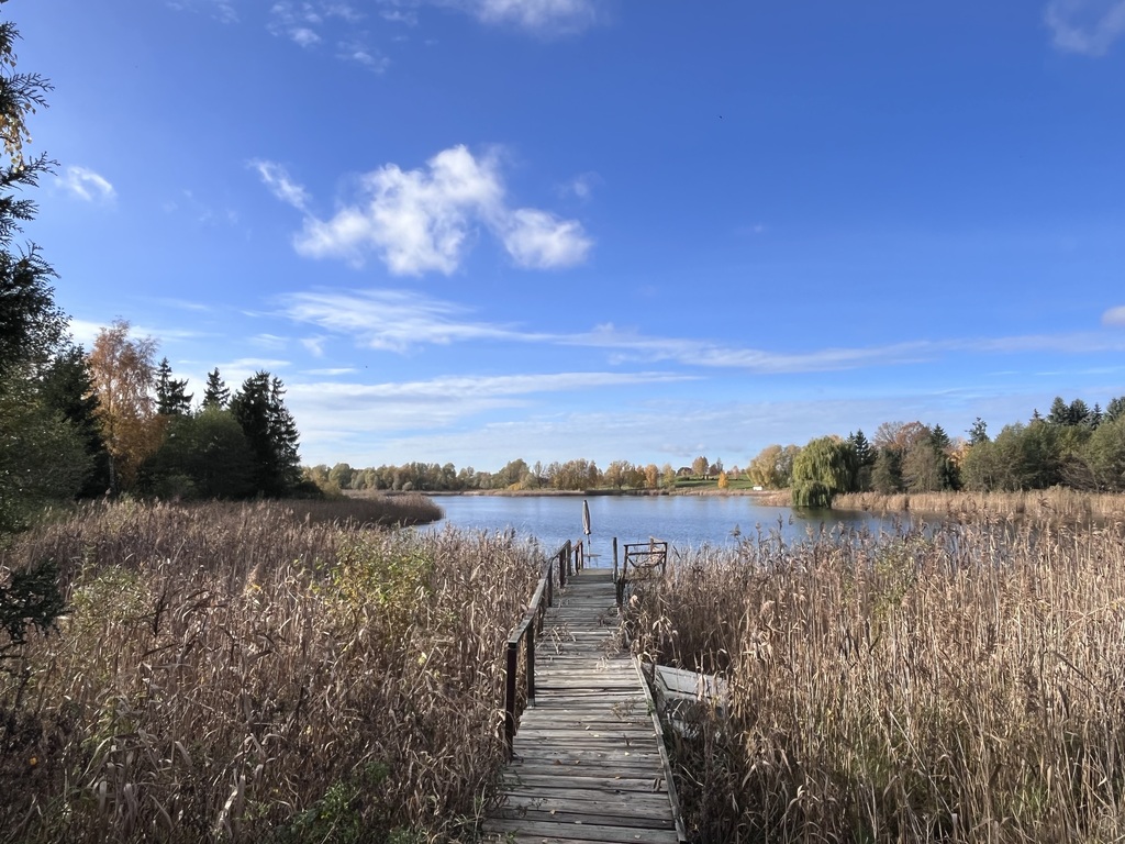 Działka na sprzedaż Binowo 25 046 m2 | Arka Nieruchomości