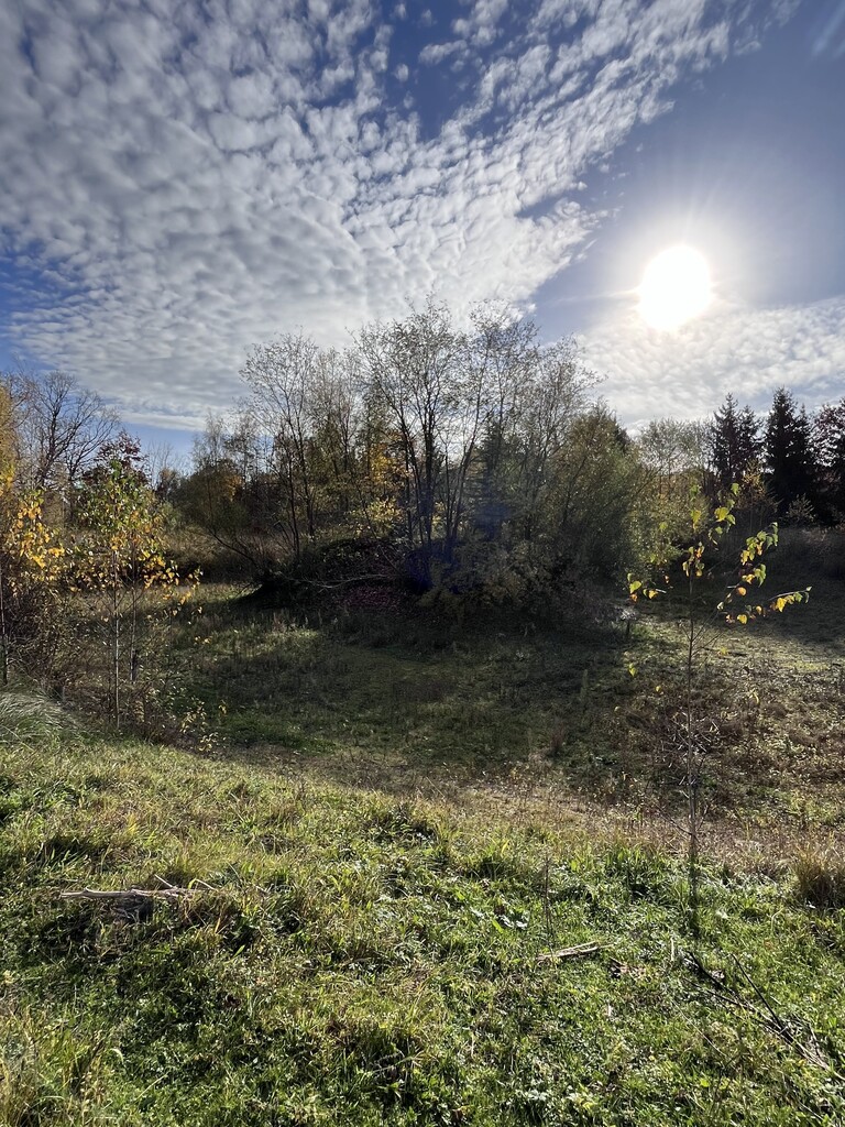 Działka na sprzedaż Binowo 25 046 m2 | Arka Nieruchomości