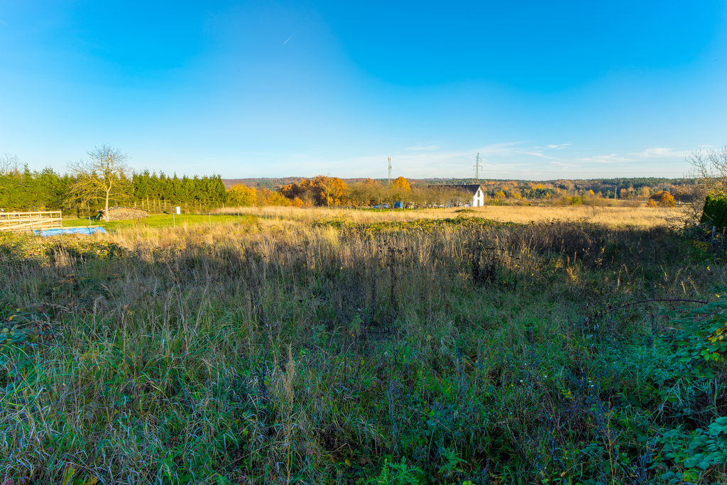 Działka na sprzedaż Szczecin, Klucz 1 605 m2 | Arka Nieruchomości