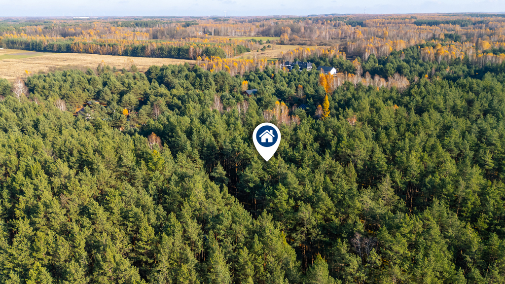 Piękny las | prywatność | plan zagospodarowania – zdjęcie 2