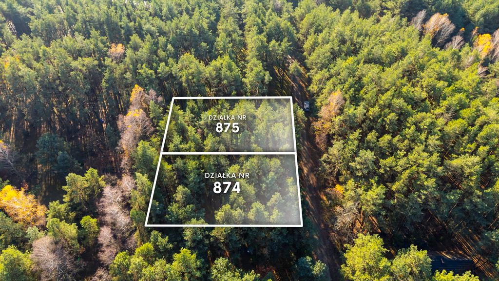 Piękny las | prywatność | plan zagospodarowania – zdjęcie 1