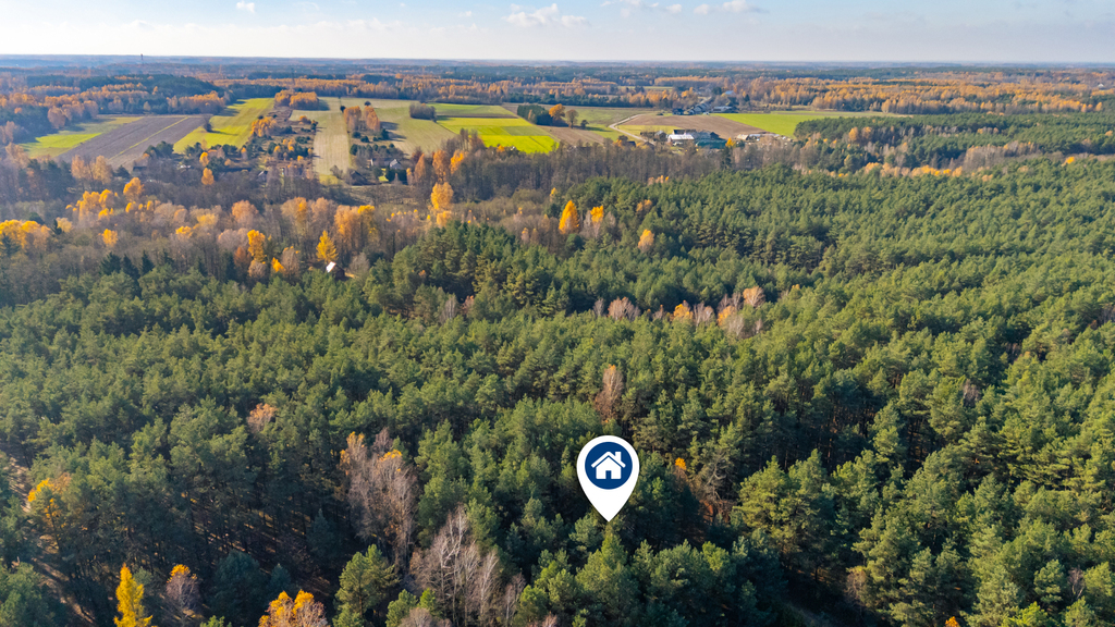 Piękny las | prywatność | plan zagospodarowania – zdjęcie 7