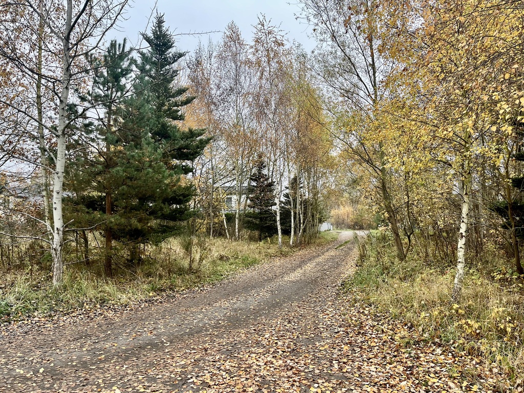 Działka na sprzedaż Bezrzecze 1 217 m2 | Arka Nieruchomości