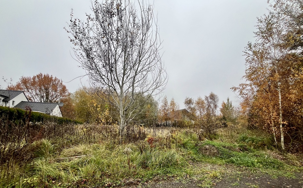 Działka na sprzedaż Bezrzecze 1 217 m2 | Arka Nieruchomości