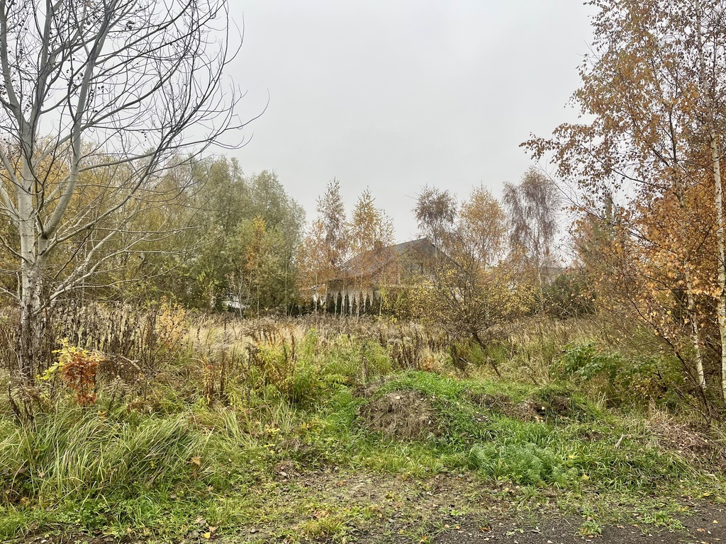 Działka na sprzedaż Bezrzecze 1 217 m2 | Arka Nieruchomości