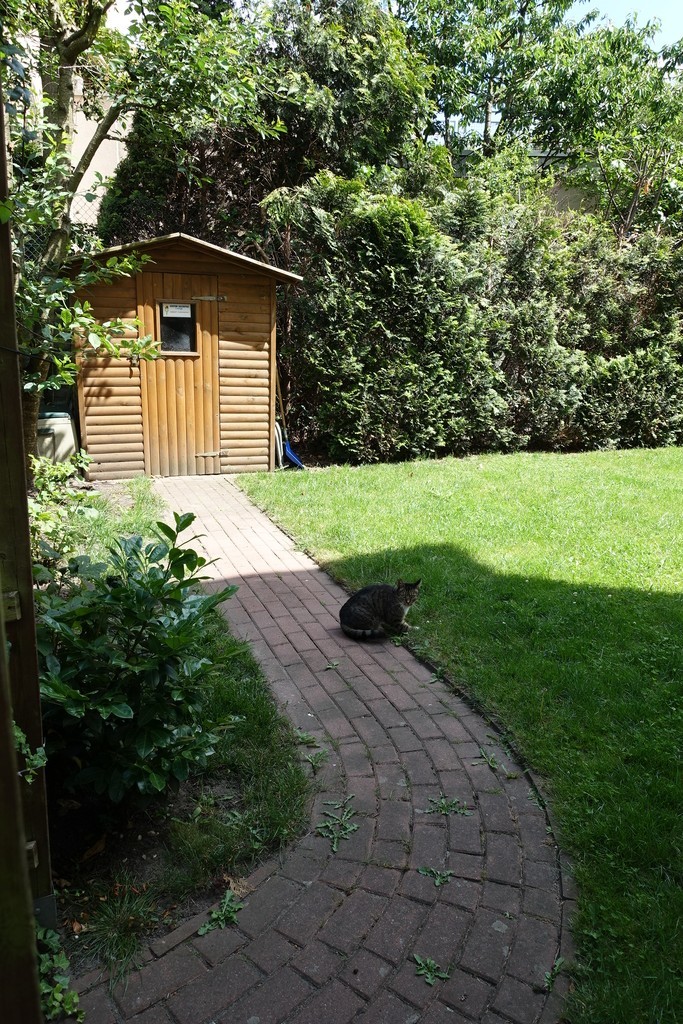 Mieszkanie na wynajem Szczecin, Gumieńce 83 m2 | Arka Nieruchomości