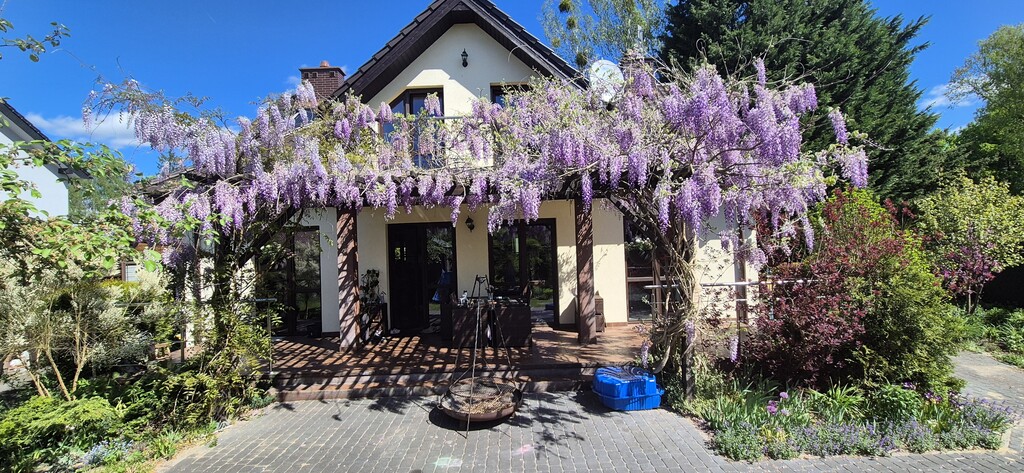 Dom na sprzedaż Morzyczyn 205 m2 | Arka Nieruchomości