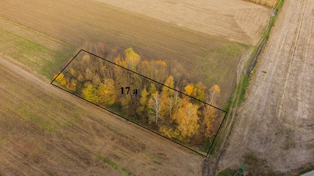 Działka, która się opłaca – Wybrzeże, 17 a!