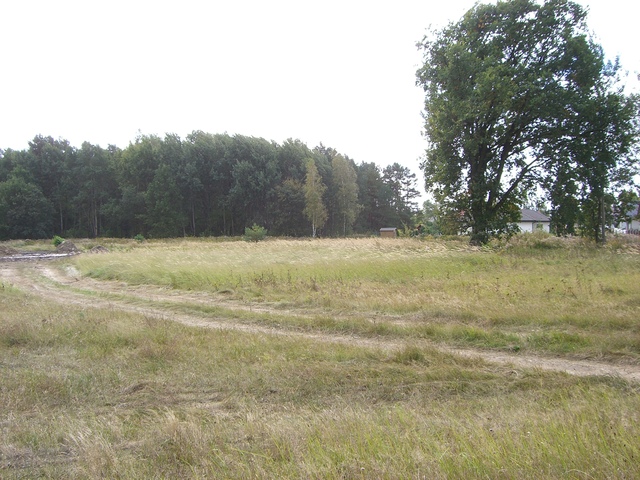 Działka na sprzedaż Dobra 3 216 m2 | Arka Nieruchomości