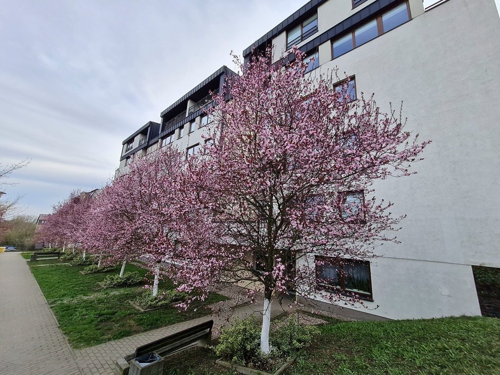 Mieszkanie na sprzedaż Szczecin, Warszewo 55 m2 | Arka Nieruchomości