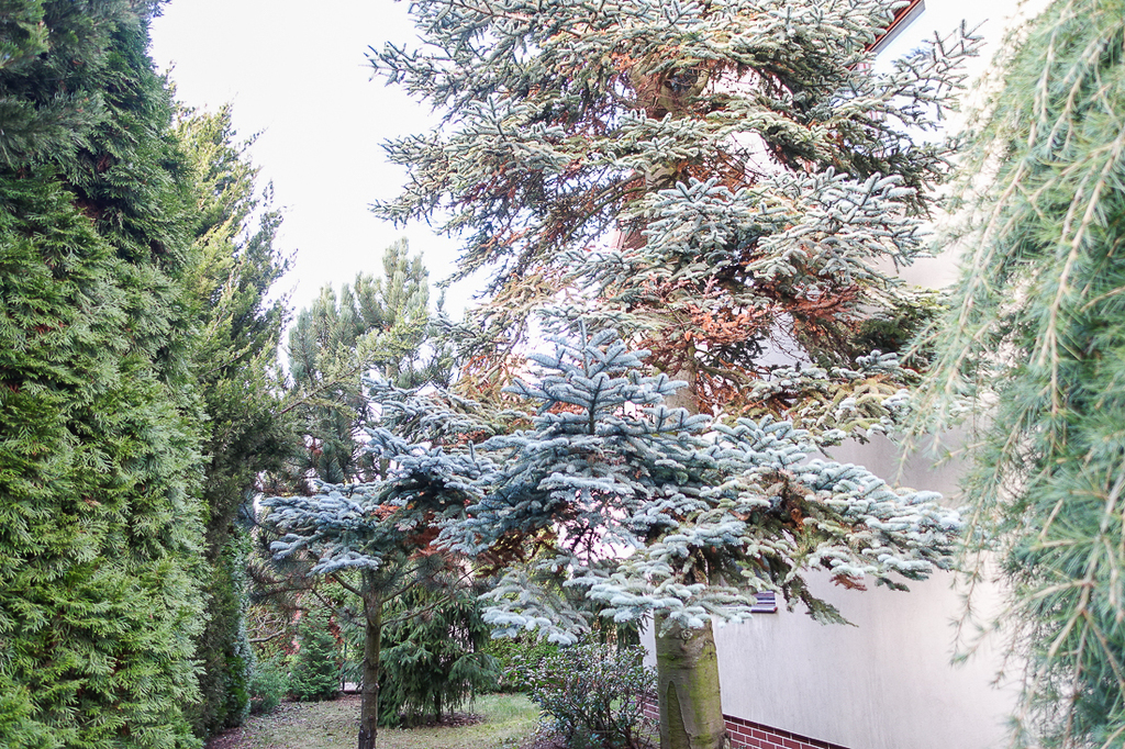 Dom na sprzedaż Szczecin, Gumieńce 250 m2 | Arka Nieruchomości