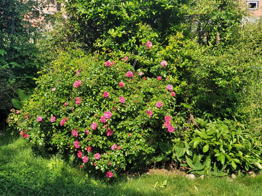 Mieszkanie na sprzedaż Mierzyn 85 m2 | Arka Nieruchomości