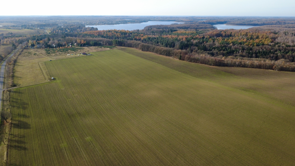 Działka na sprzedaż Storkowo 3 000 m2 | Arka Nieruchomości