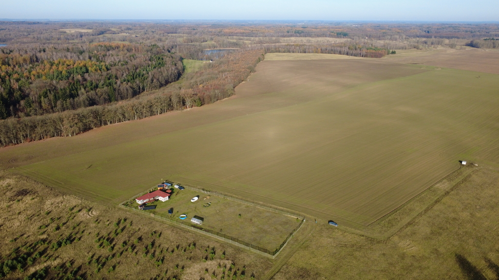 Działka na sprzedaż Storkowo 3 000 m2 | Arka Nieruchomości