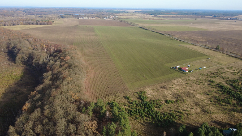 Działka na sprzedaż Storkowo 3 000 m2 | Arka Nieruchomości