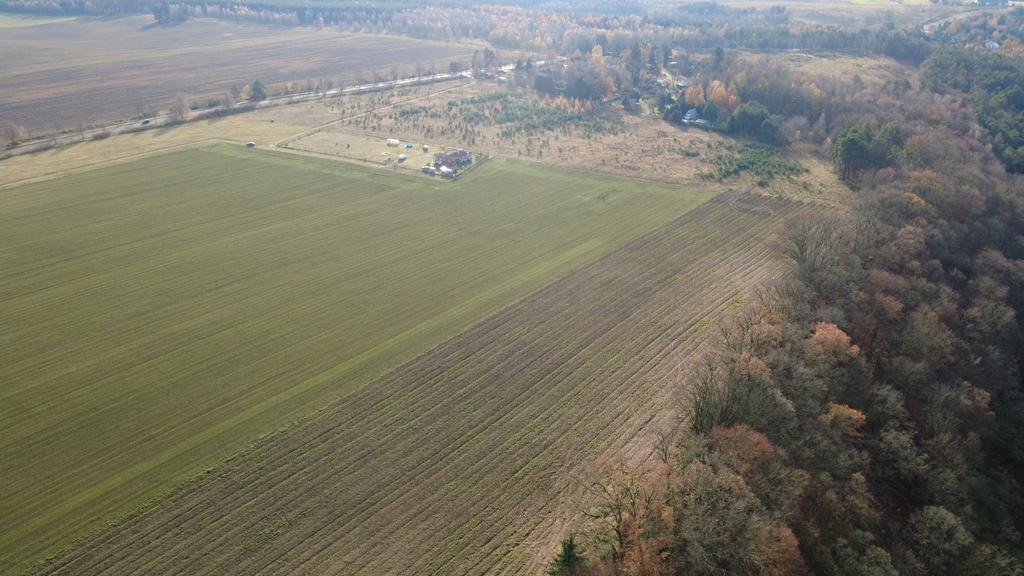 Działka na sprzedaż Storkowo 3 000 m2 | Arka Nieruchomości