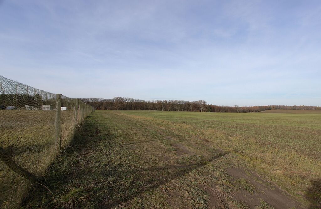 Działka na sprzedaż Storkowo 3 000 m2 | Arka Nieruchomości