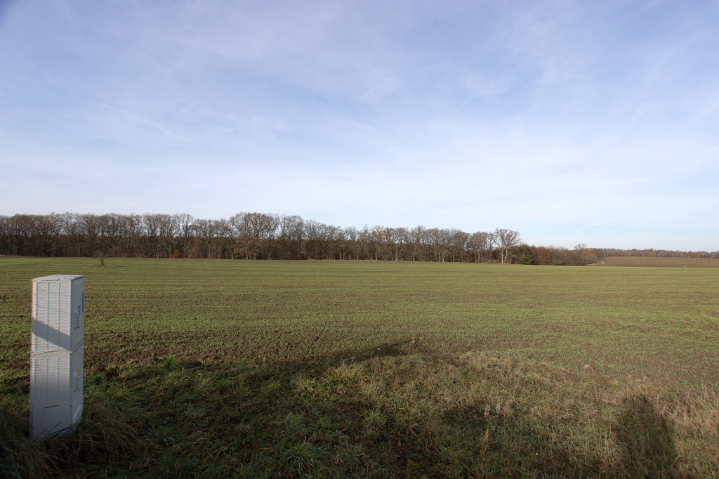 Działka na sprzedaż Storkowo 3 000 m2 | Arka Nieruchomości