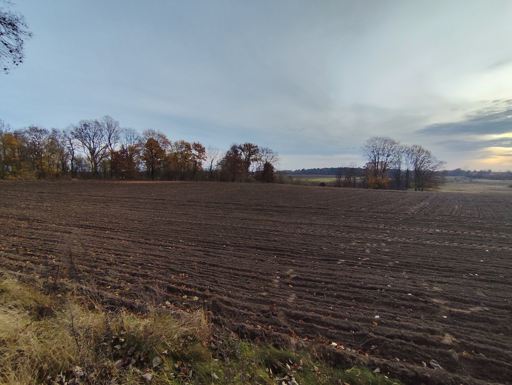 Działka na sprzedaż Wojcieszyn 12 200 m2 | Arka Nieruchomości