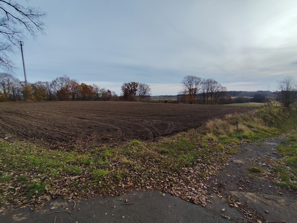 Działka na sprzedaż Wojcieszyn 12 200 m2 | Arka Nieruchomości