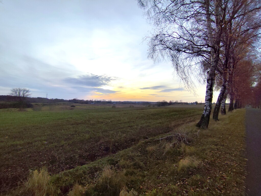 Działka na sprzedaż Wojcieszyn 32 500 m2 | Arka Nieruchomości